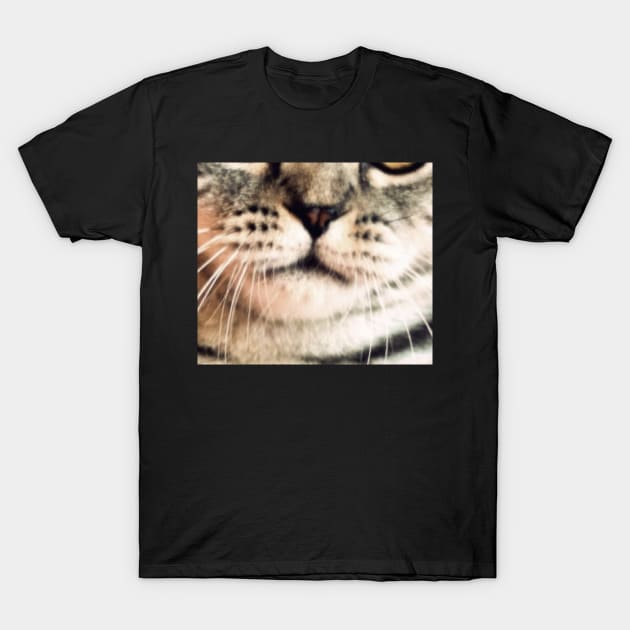 Cat face mask funny design mask _ cat mouth mask _ animal mouth funny mask T-Shirt by jack22